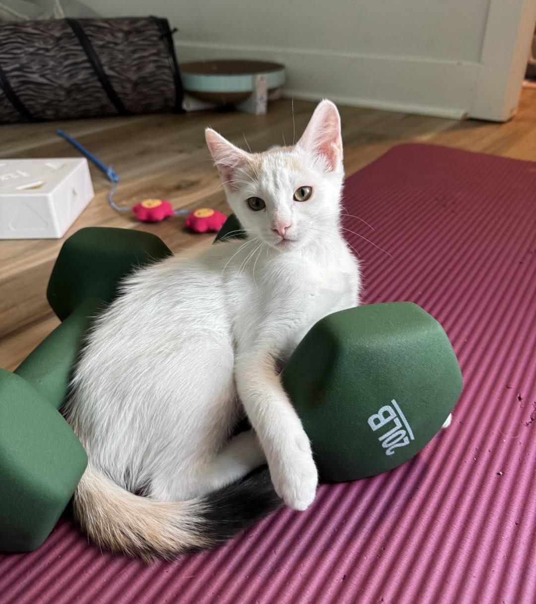 Wilma & Powder (Mother & Daughter!)