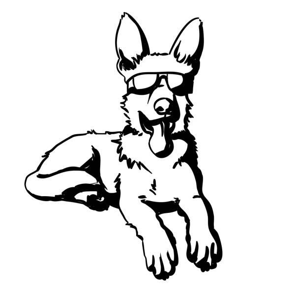 AJ, a Adoptable German Shepherd Dog in Las Vegas, NV image 5/6