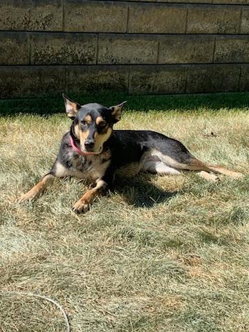 Xena - Courtesy Listing see info. photo 2