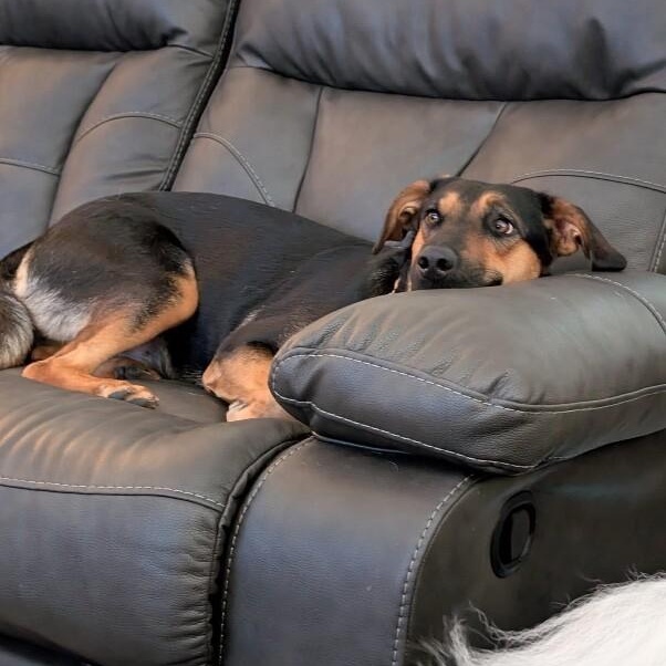 Jennie Ruby Jane — thumbnail 2