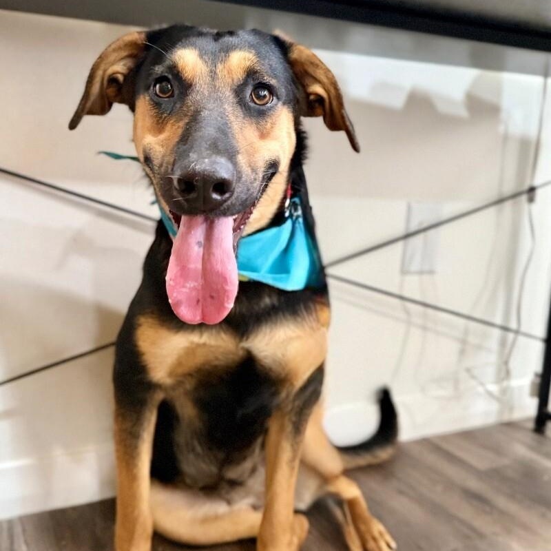 Jennie Ruby Jane — thumbnail 4