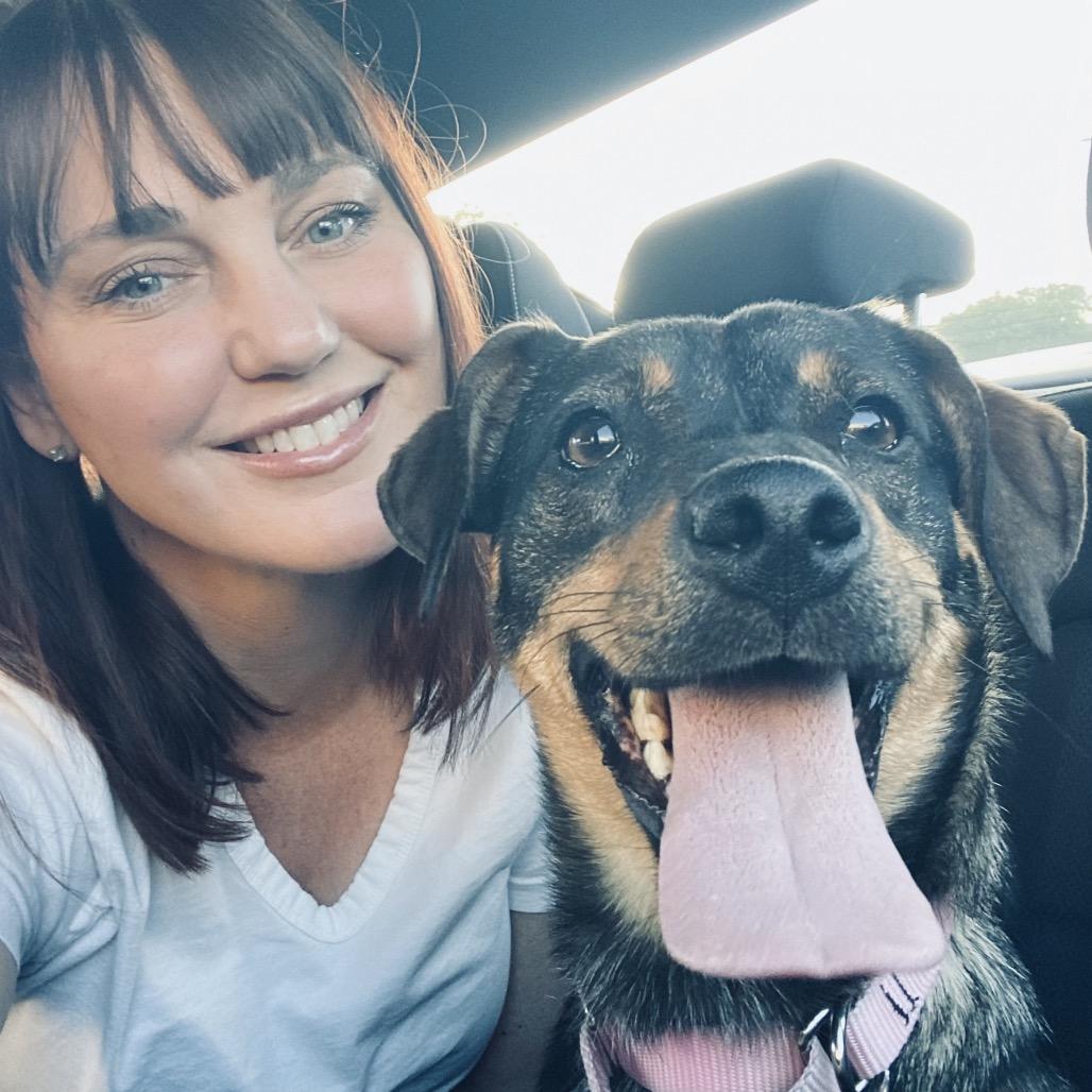 Enlarge Jayde, a Adoptable mixed breed in Fairfax, VA image 2/6