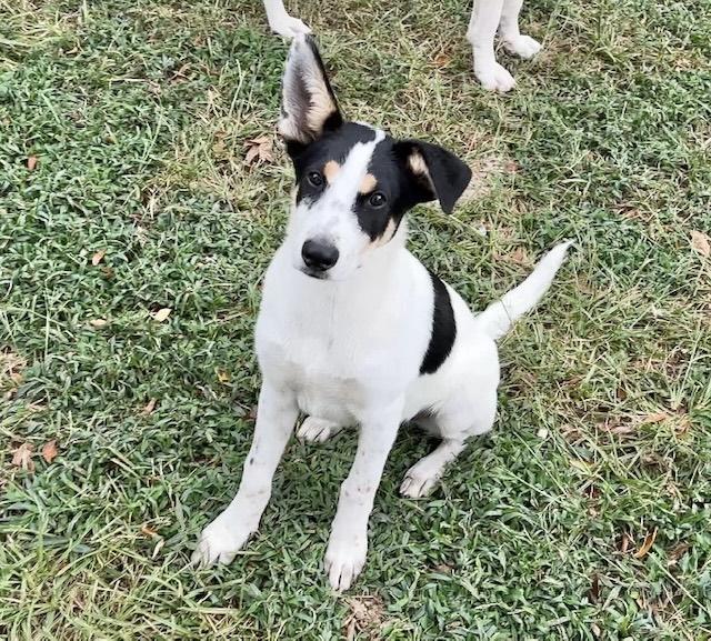 Jack