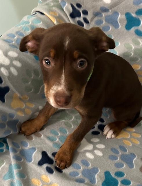 Gus Power — thumbnail 3