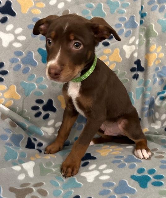 Gus Power — thumbnail 4