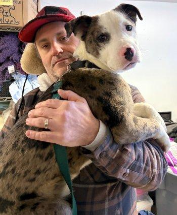 Enlarge Travis, a ADOPTABLE mixed breed in Bedford Hills, NY image 1/2