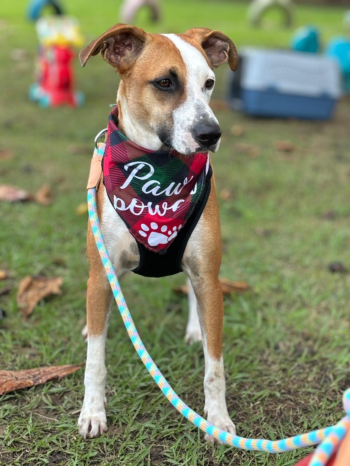 Aziz "ready For Your thumbnail 3