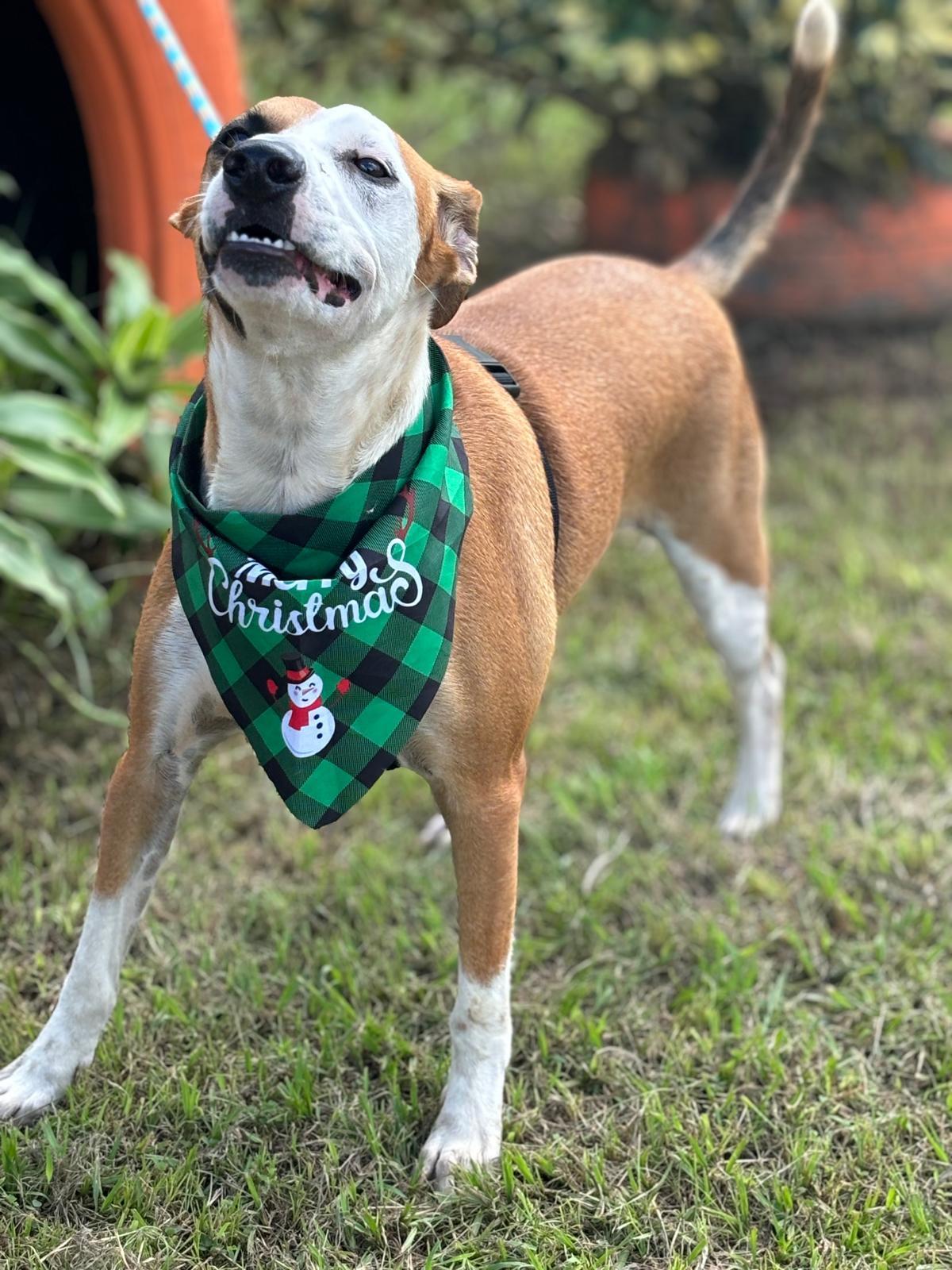 Aziz "ready For Your thumbnail 5