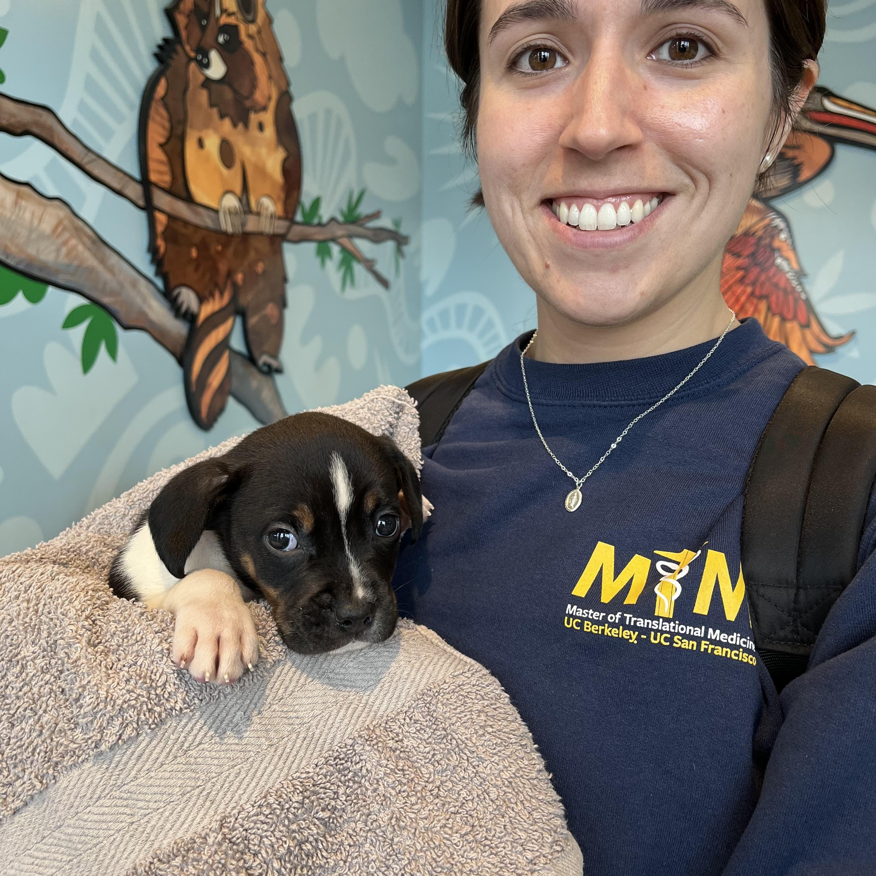 Enlarge Frankie , an adopted mixed breed in Hayward, CA image 2/4