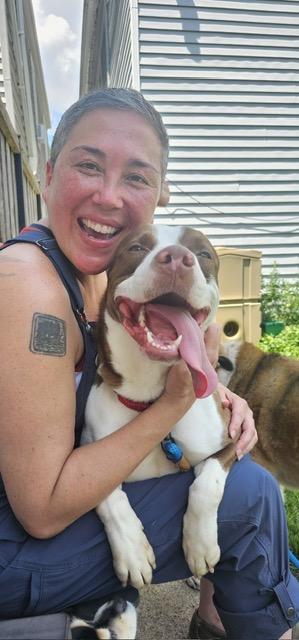 Melon, a Adoptable mixed breed in Chicago, IL image 2/6