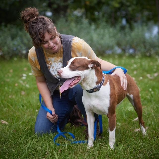 Enlarge Melon, a Adoptable mixed breed in Chicago, IL image 5/6