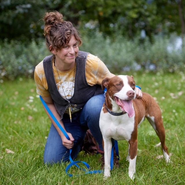 Enlarge Melon, a Adoptable mixed breed in Chicago, IL image 3/6