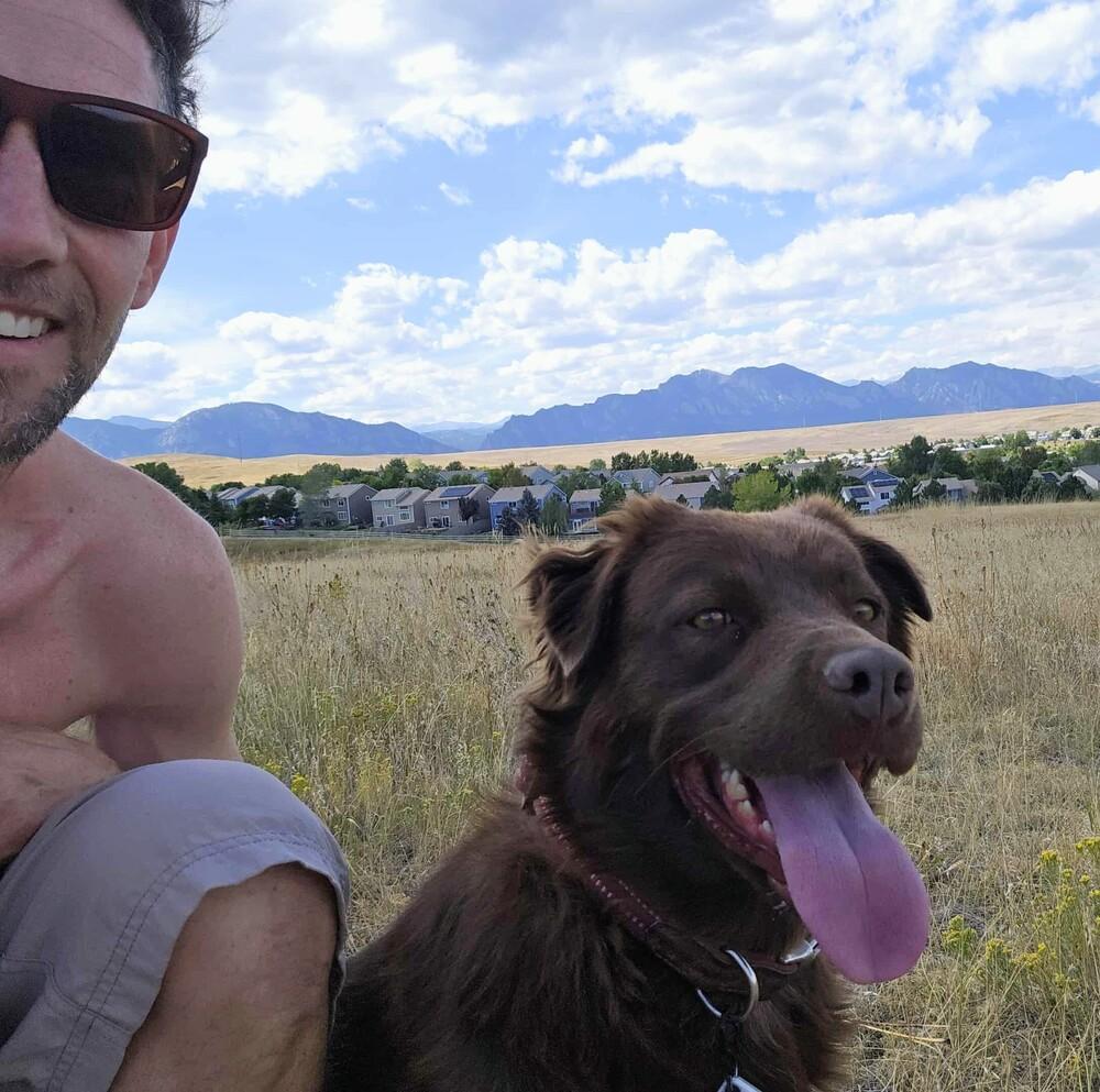 Enlarge Cedar Rose, a Adoptable mixed breed in Evergreen, CO image 1/6