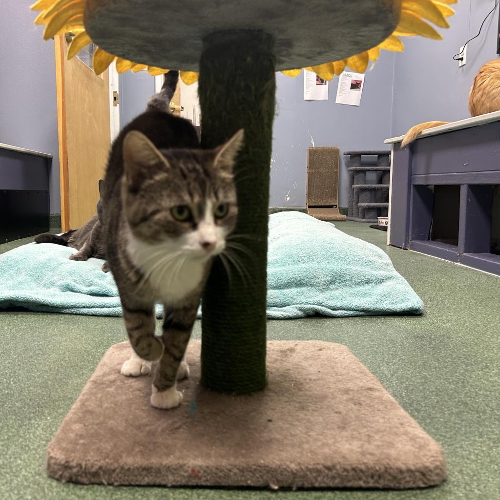 Bibble — thumbnail 2