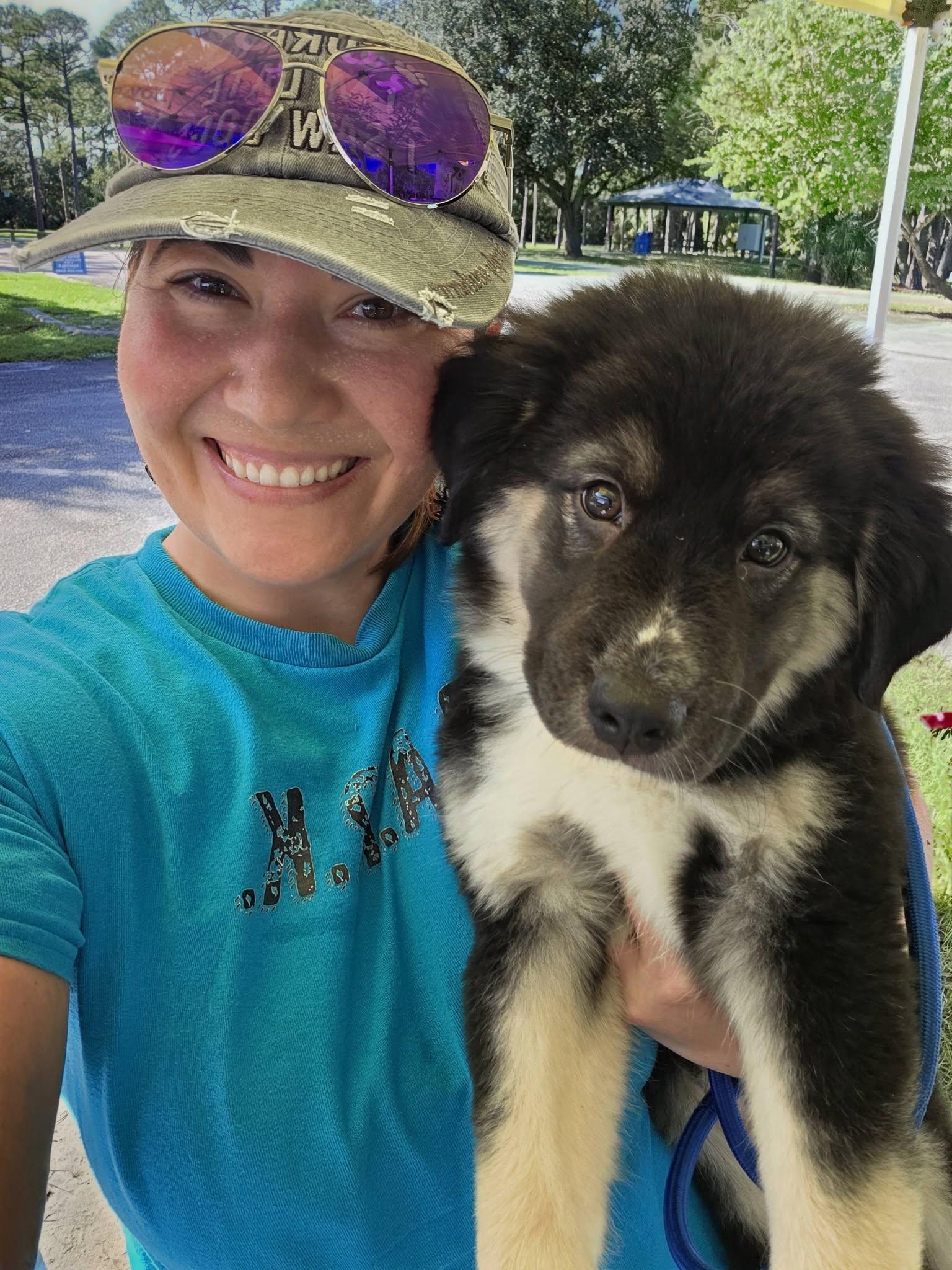 Enlarge Cookie, a Adoptable mixed breed in Palm Bay, FL image 1/5