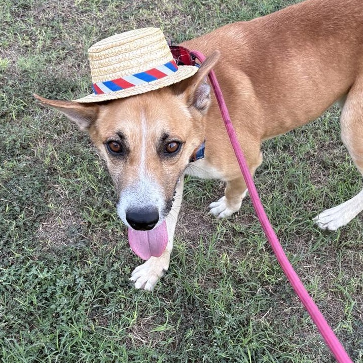 Flako — thumbnail 5