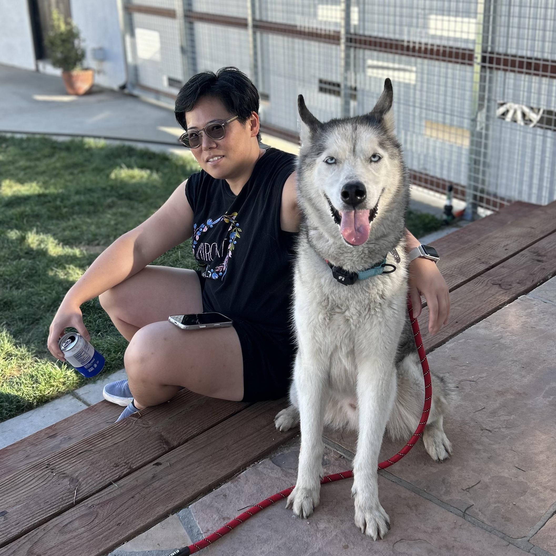 Enlarge Brandybuck, a ADOPTABLE Husky in Burbank, CA image 2/5