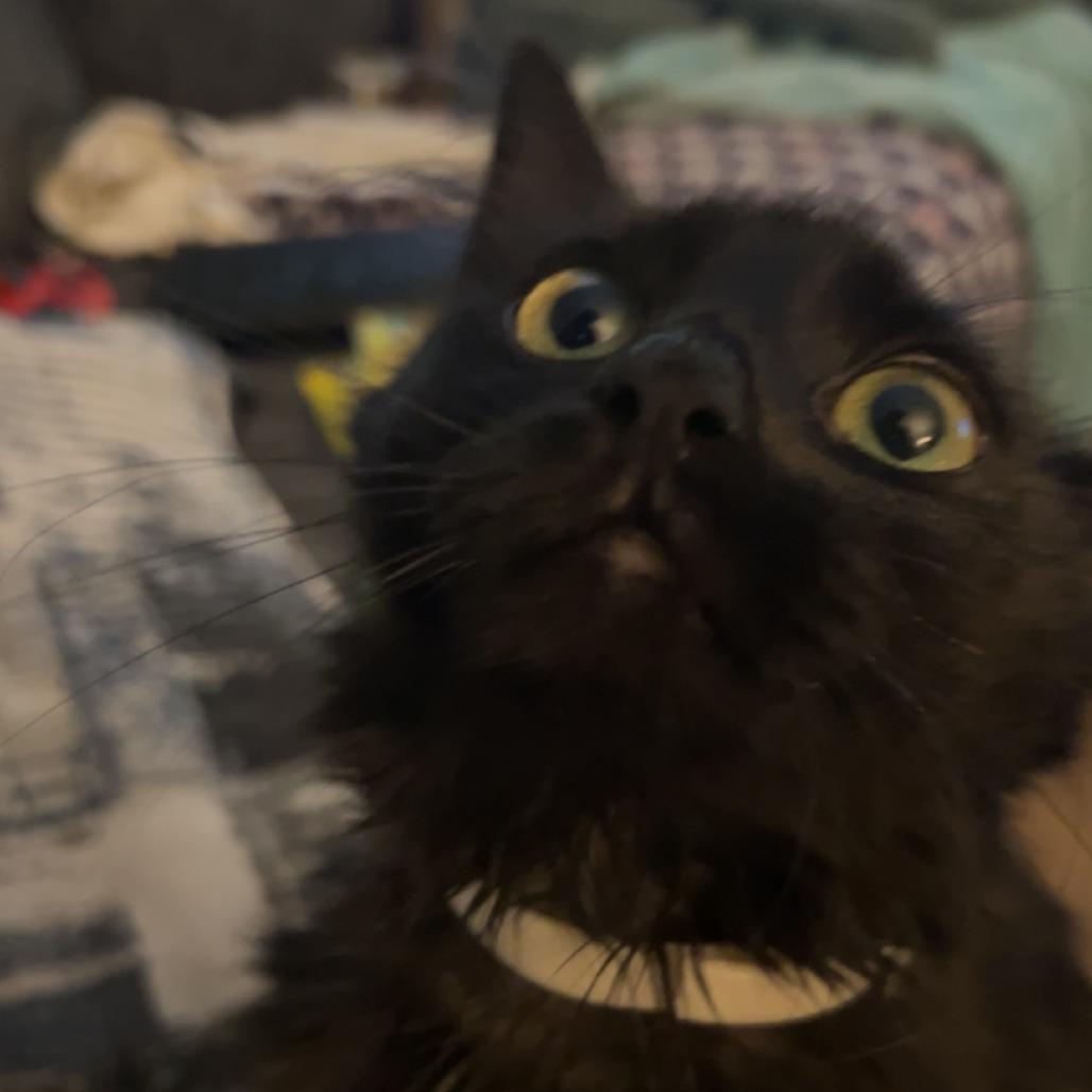 Gloomy — thumbnail 2