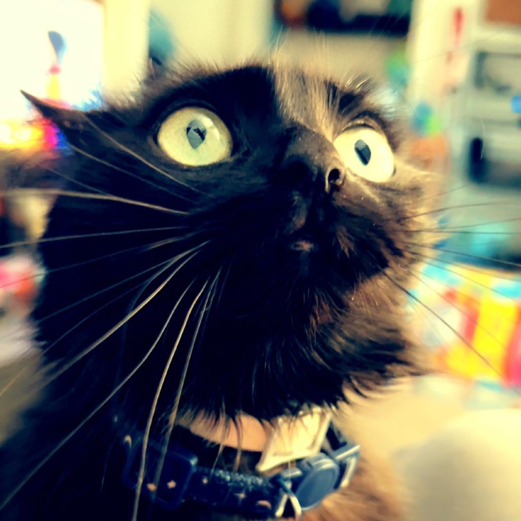 Gloomy — thumbnail 3