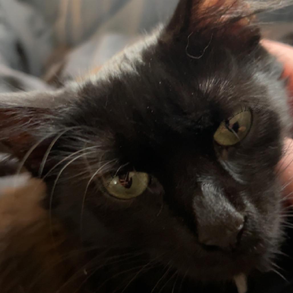 Gloomy — thumbnail 4