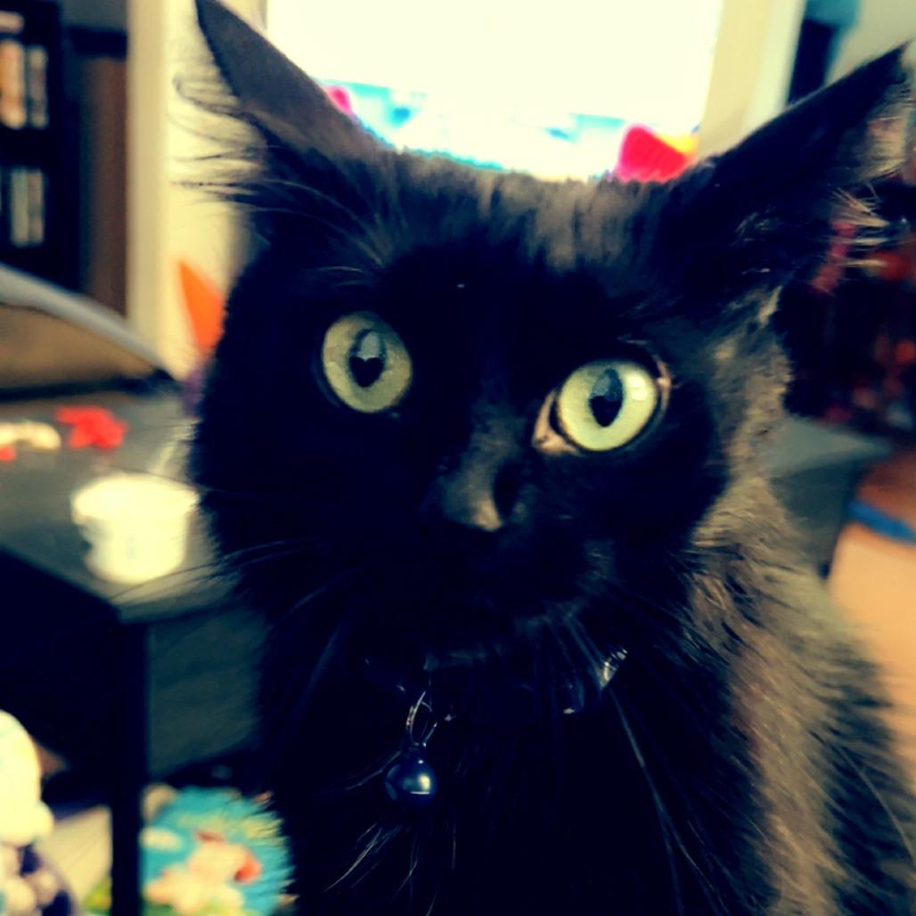 Gloomy — thumbnail 5