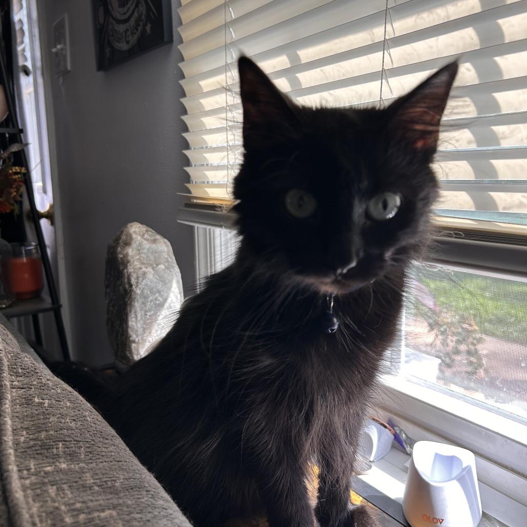 Gloomy — thumbnail 6