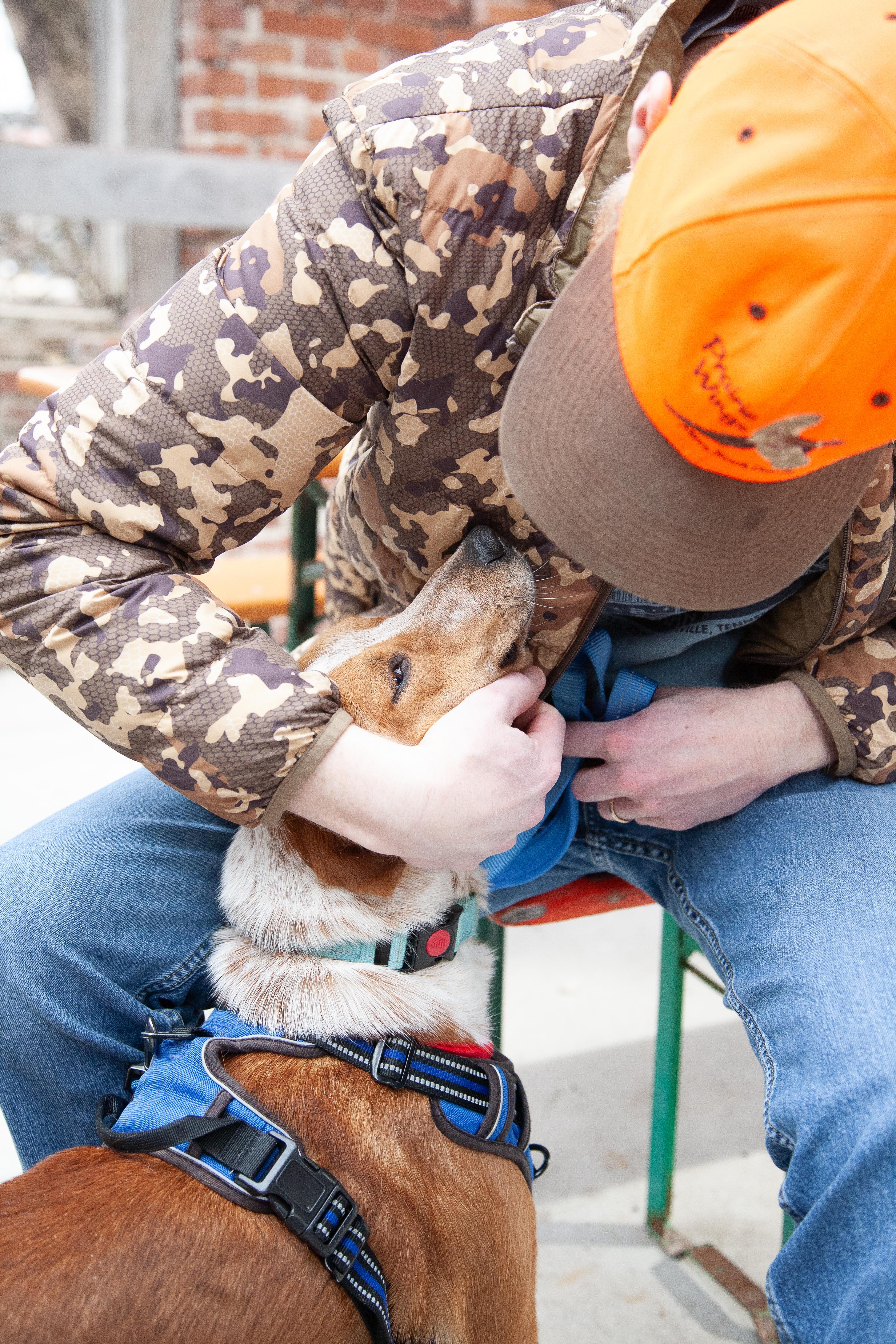 Enlarge Rudy, a ADOPTABLE mixed breed in Columbia, TN image 3/6