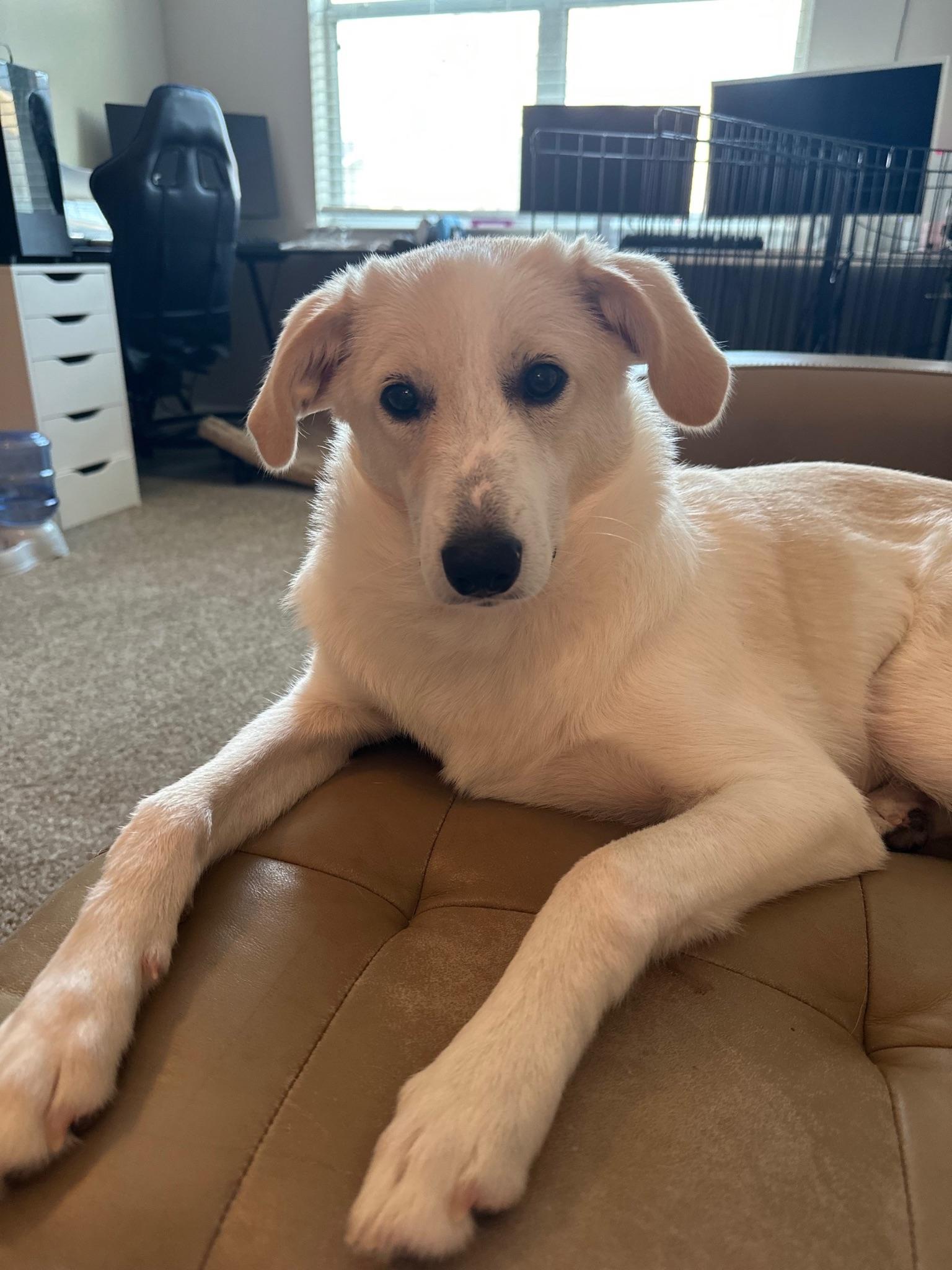 Holly — thumbnail 3