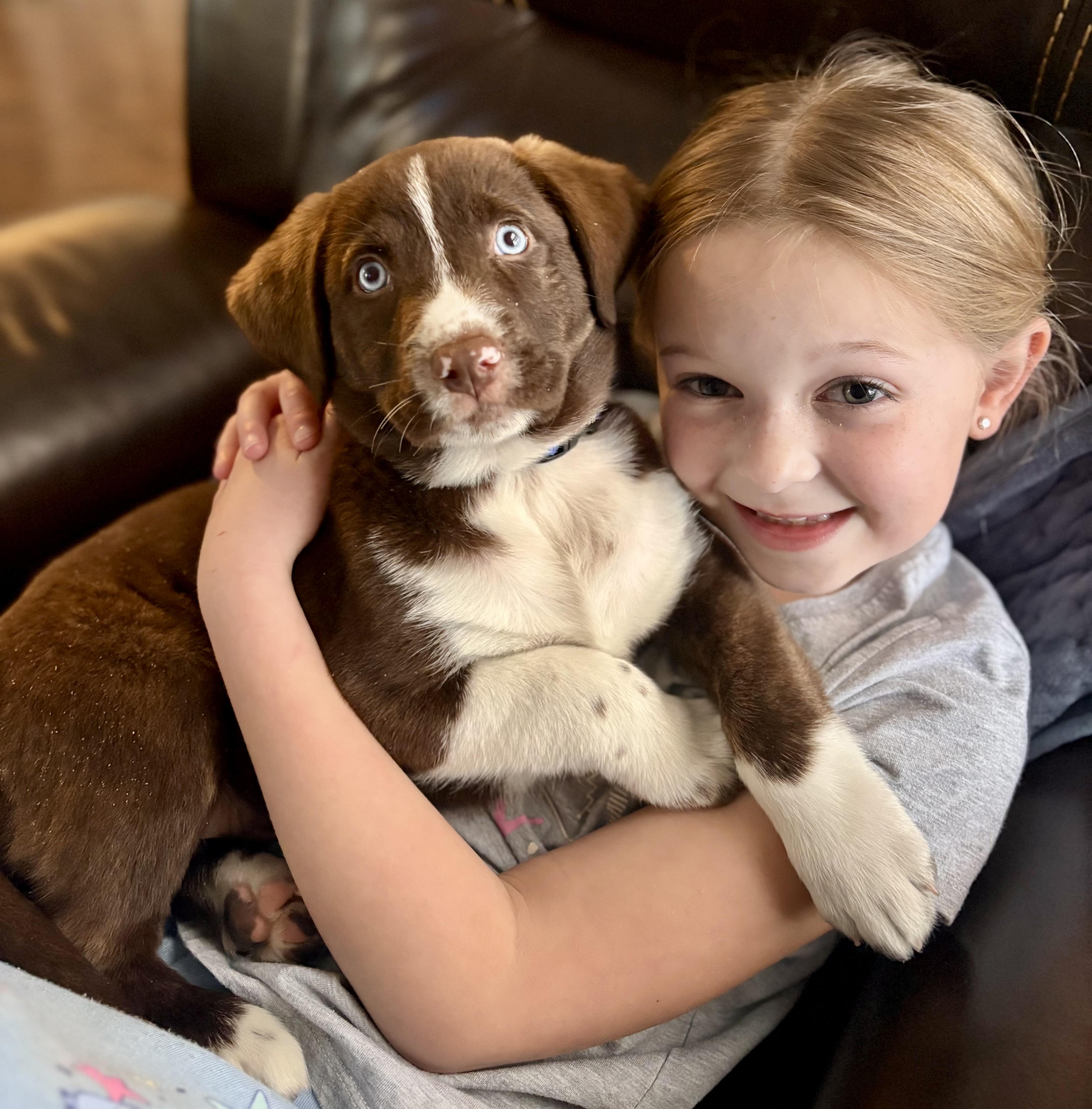 Enlarge Stetson, an adopted mixed breed in Mt Pleasant, SC image 5/6