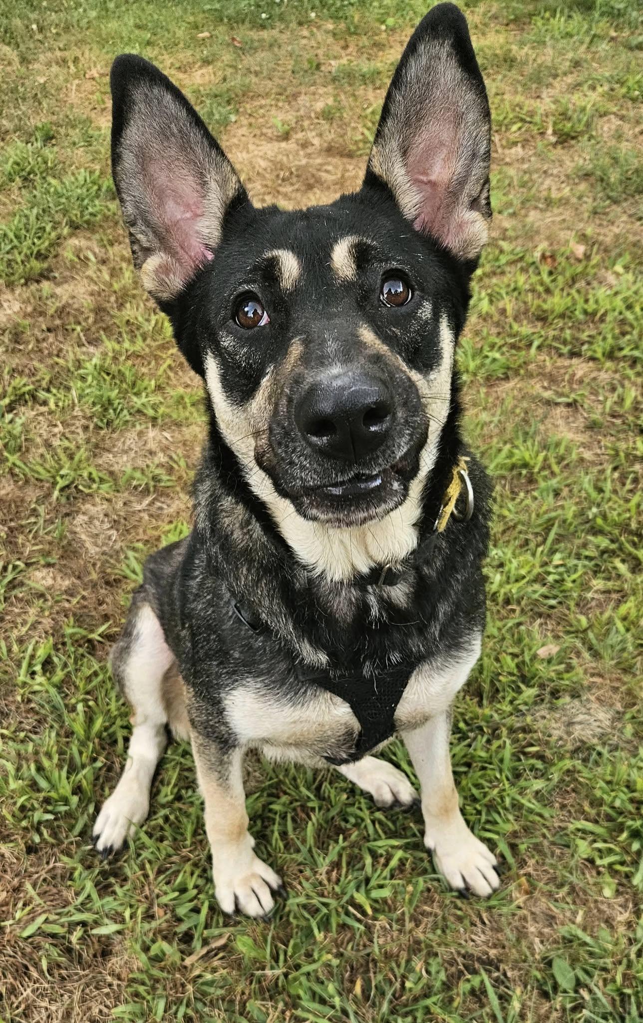 Truly *IN FOSTER*
