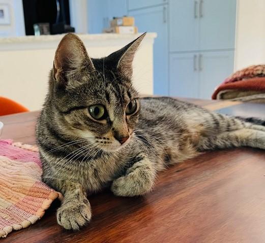 Roxanne  Young & thumbnail 3