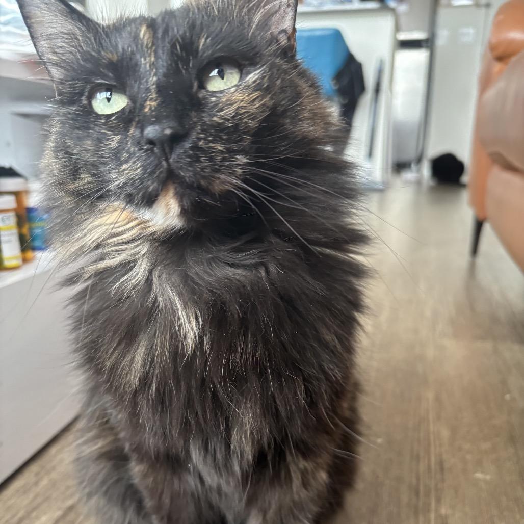 Andrea — thumbnail 3