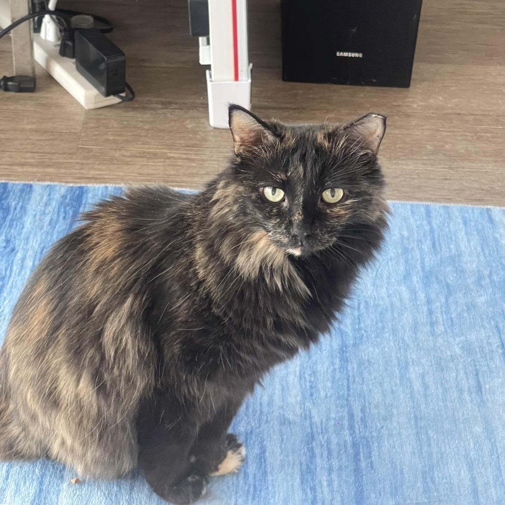 Andrea — thumbnail 4