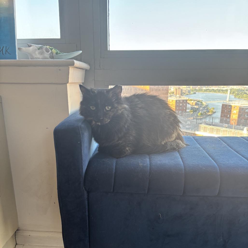 Andrea — thumbnail 6