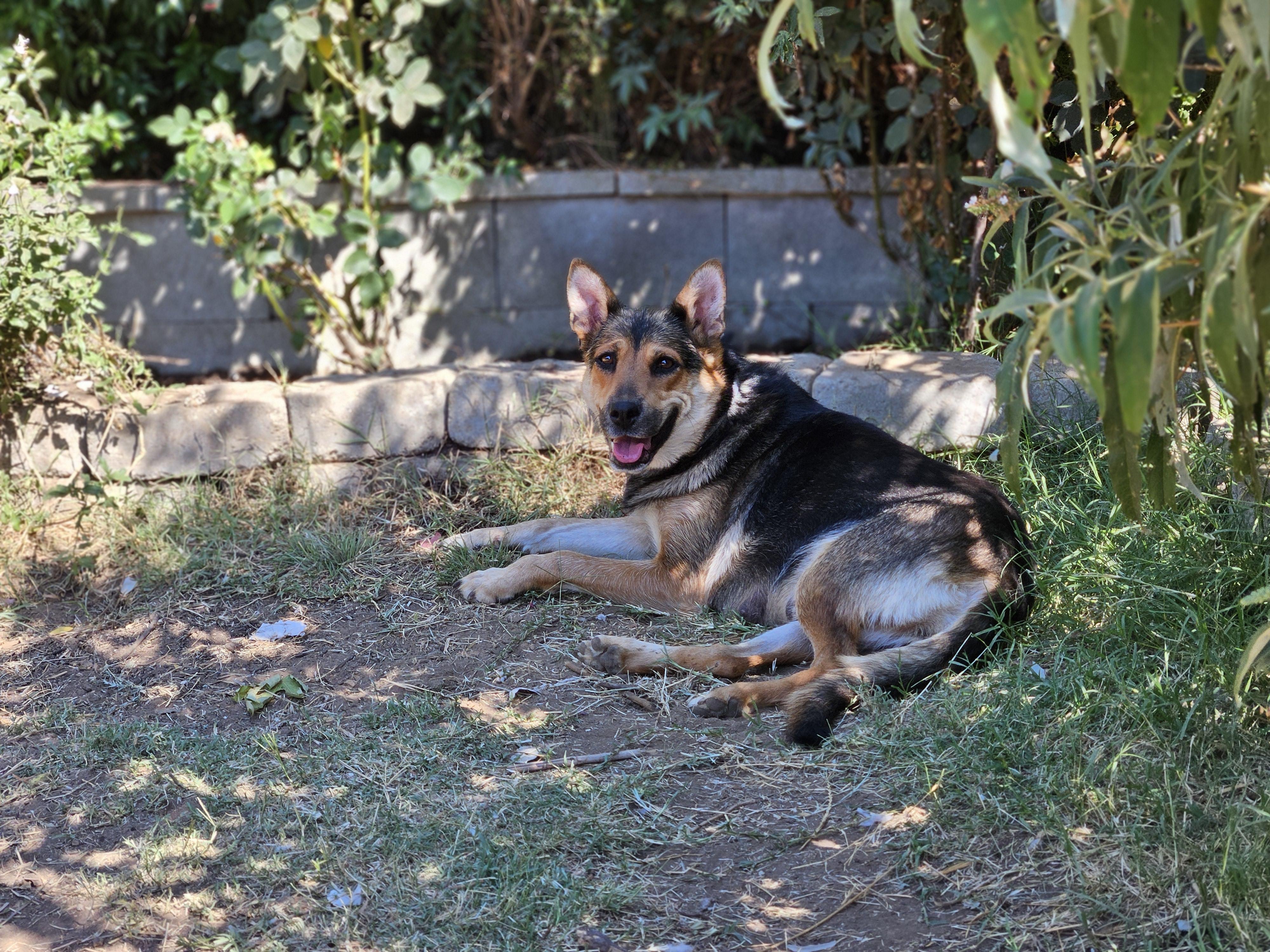 Ginny photo 4
