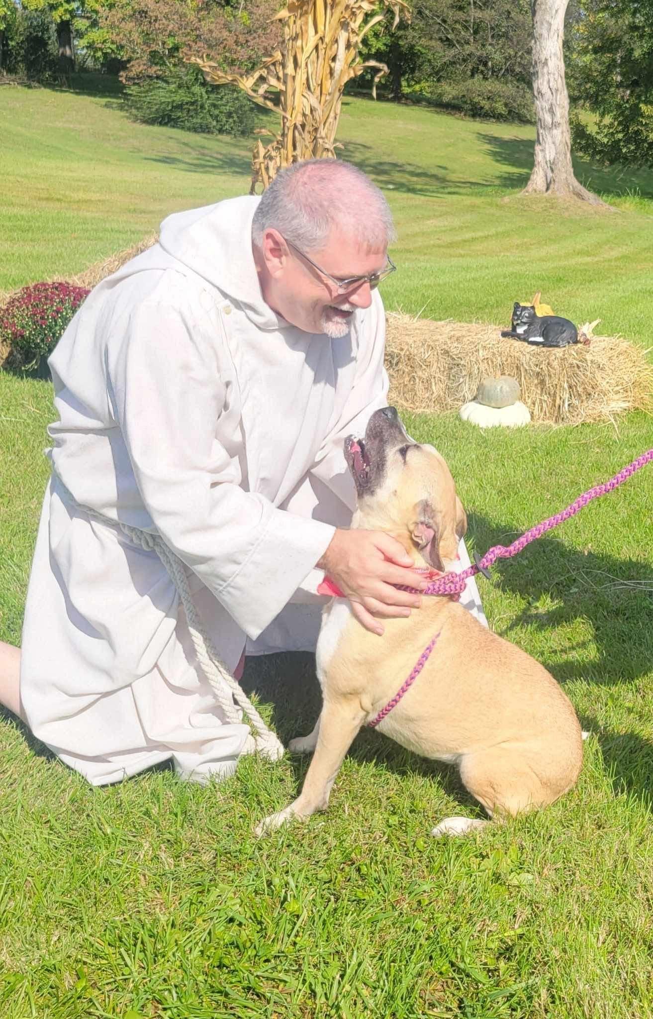 Layla, a Adopted Mixed Breed in richmond, ME image 5/5