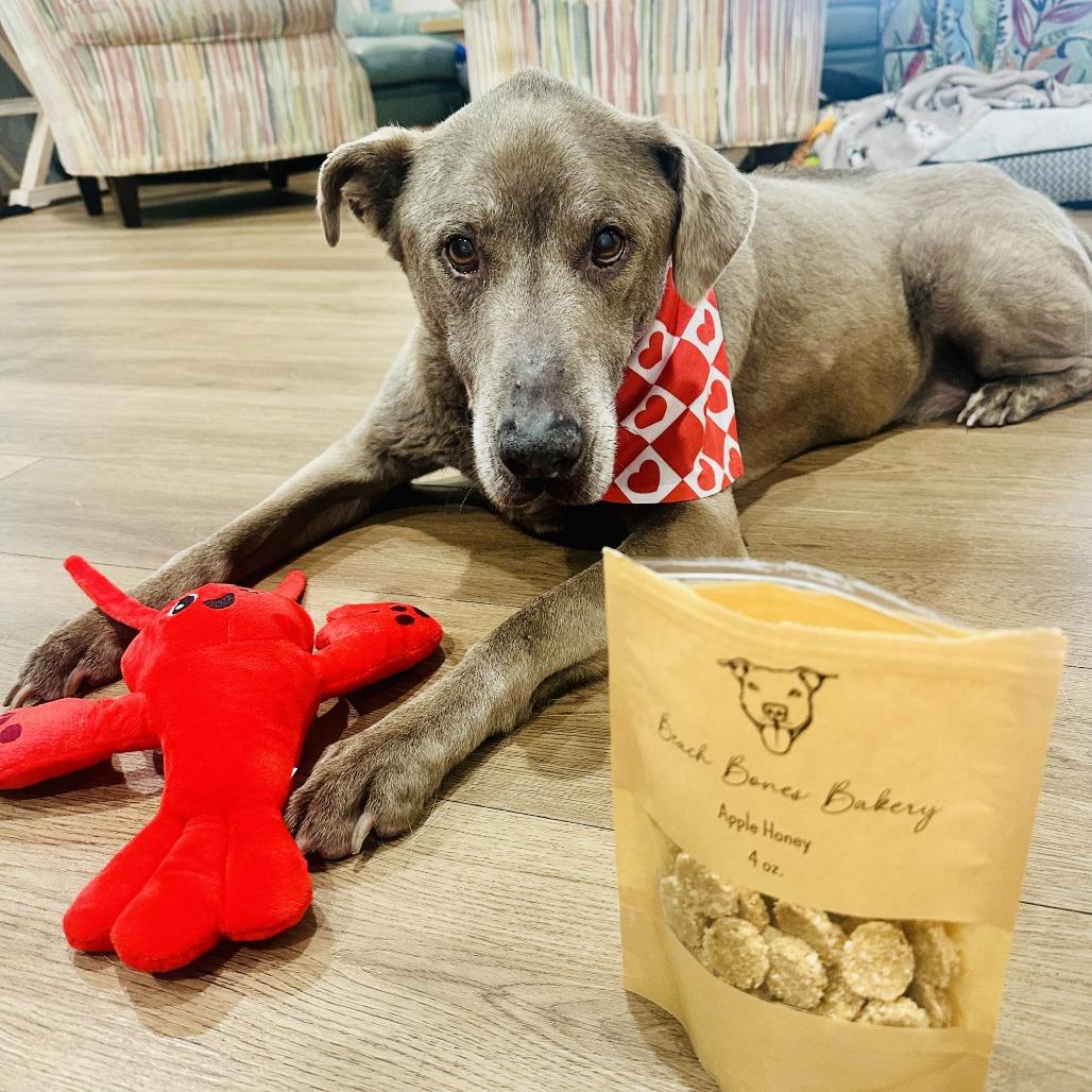 Treble 9819 — thumbnail 4