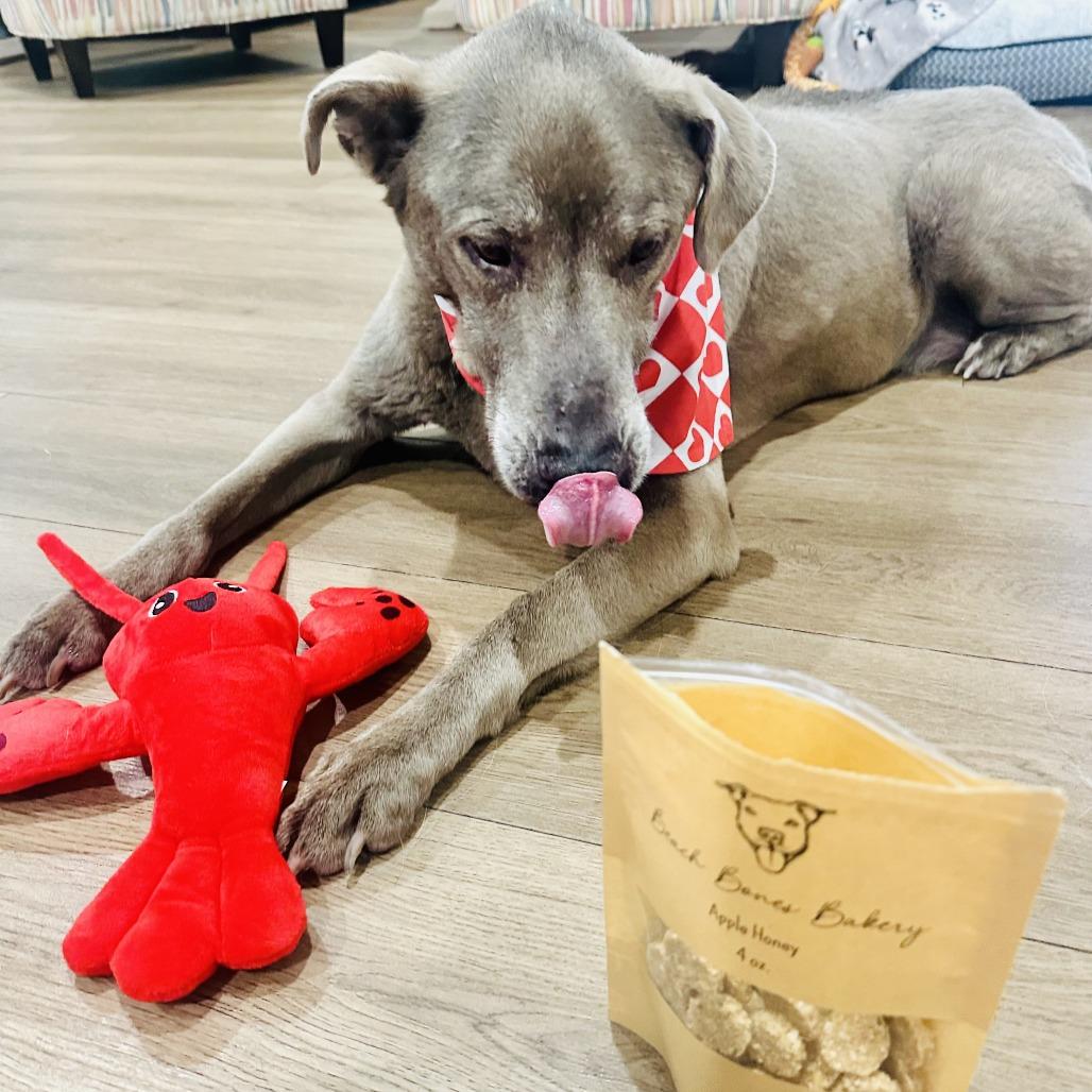 Treble 9819 — thumbnail 6