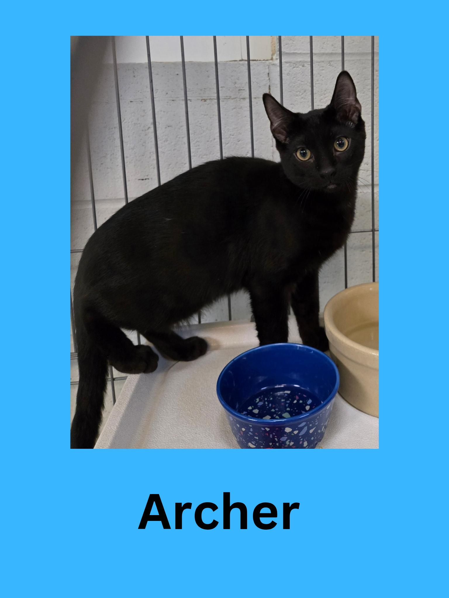 Archer