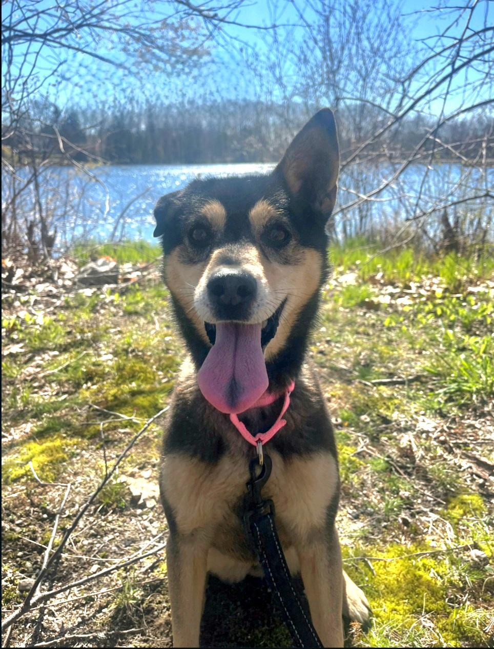 Betty, Senior Female unknown