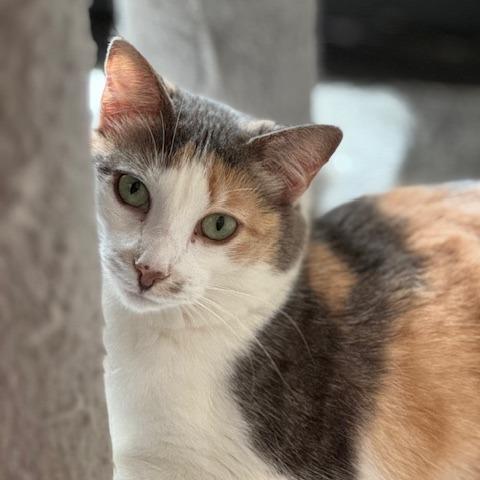 Julia — thumbnail 2