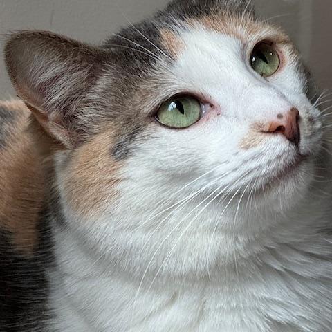 Julia — thumbnail 3