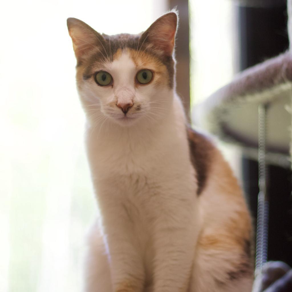 Julia — thumbnail 4