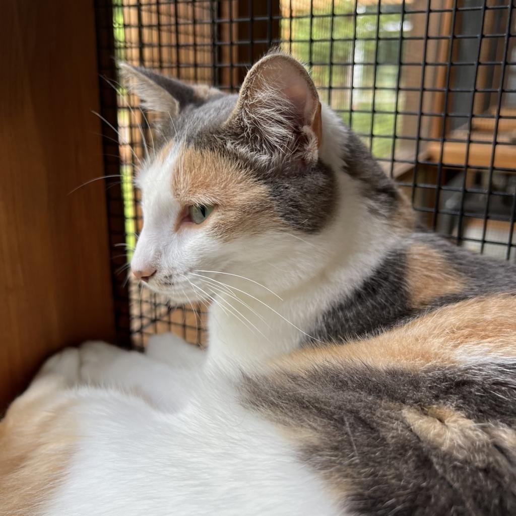 Julia — thumbnail 6