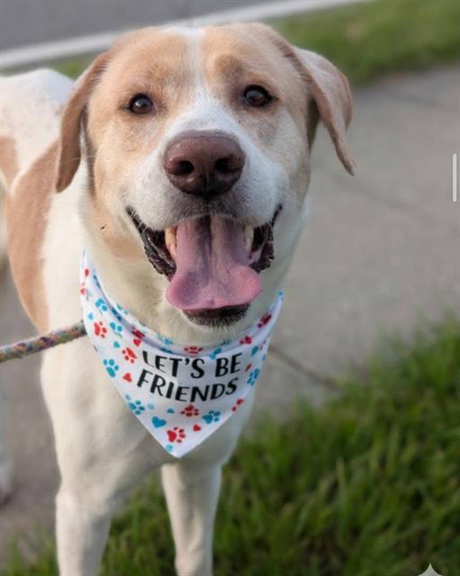 KENNY G — thumbnail 2