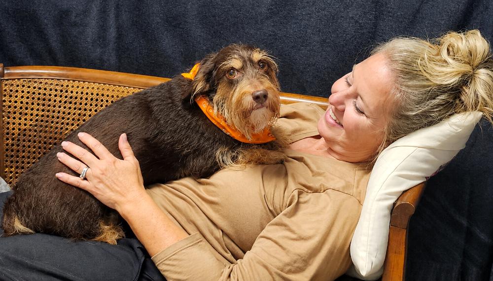 Rusty, a ADOPTABLE mixed breed in Cheboygan, MI image 4/6