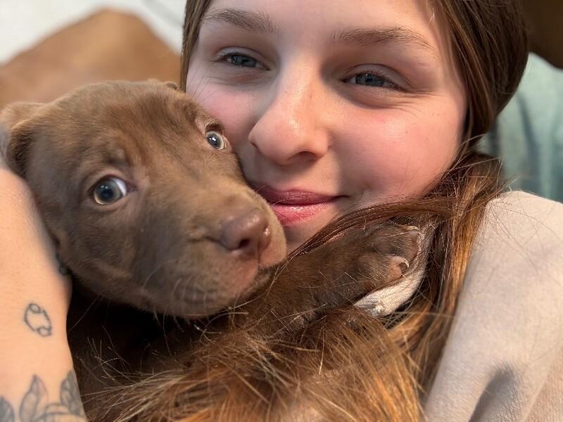 Pj sweets — thumbnail 5