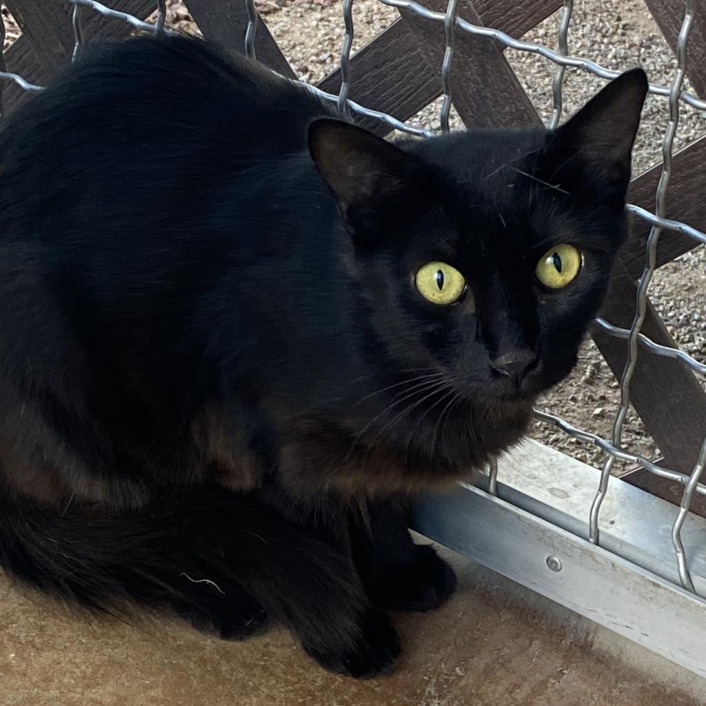 Bublz — thumbnail 2