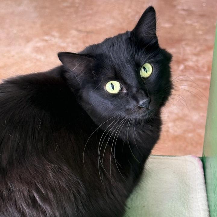 Bublz — thumbnail 6