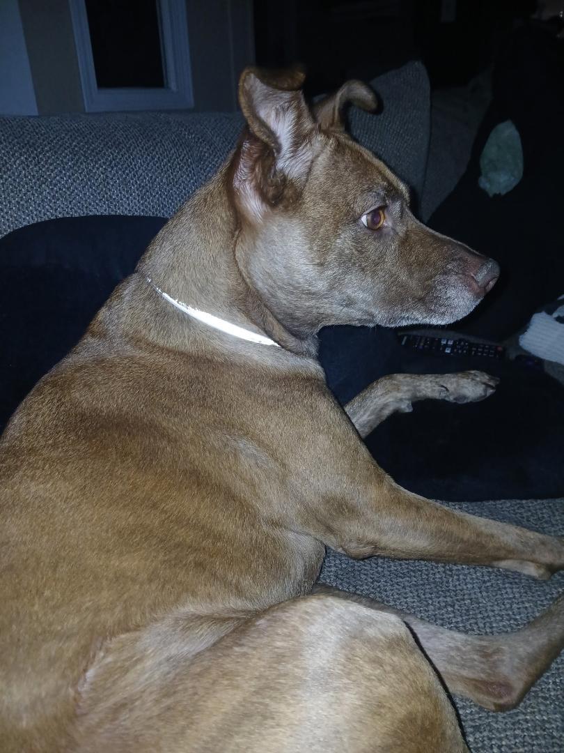 Bobalake Elsinore  Ca thumbnail 3